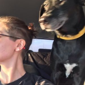 Meet your Posher, Anne